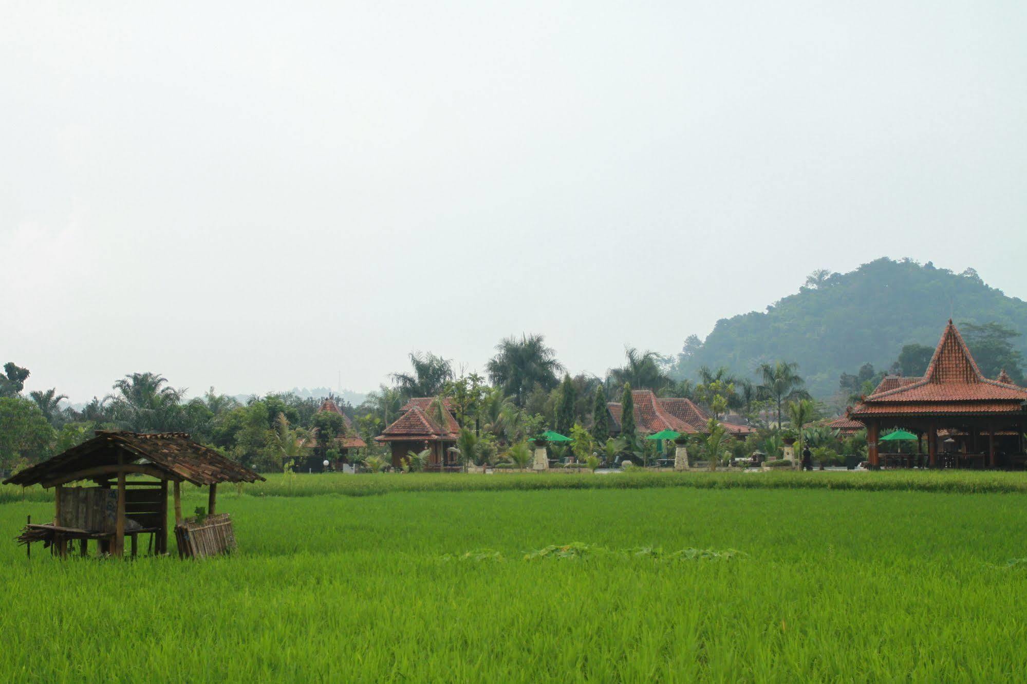 Melva Balemong Hotel Semarang Exterior foto